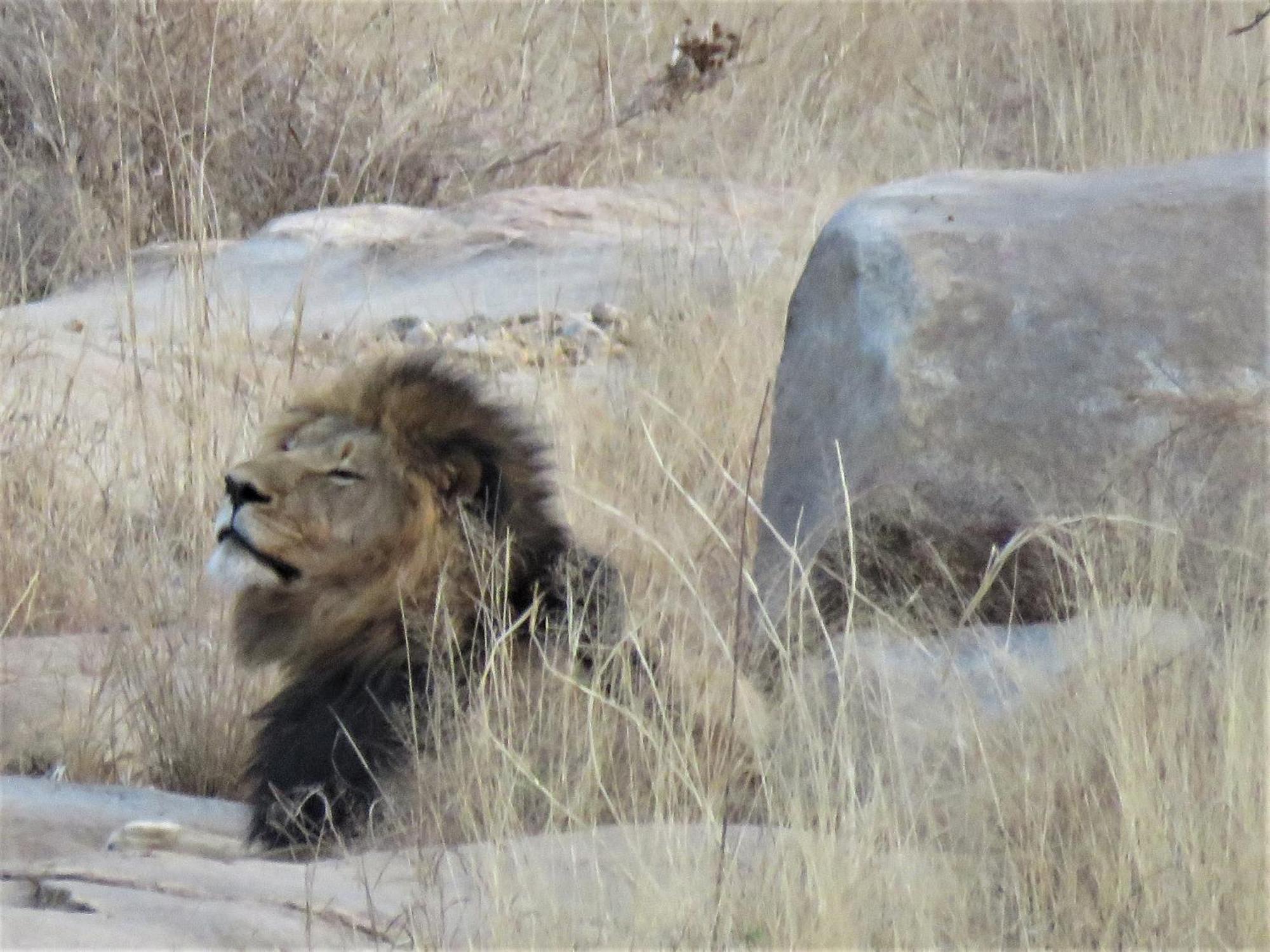 Sable Creek Safari Lodge 桑尼 外观 照片