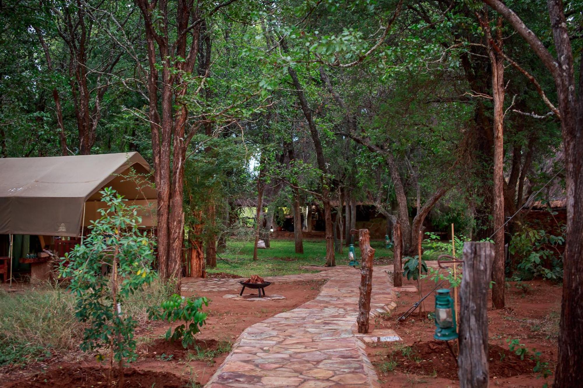 Sable Creek Safari Lodge 桑尼 外观 照片