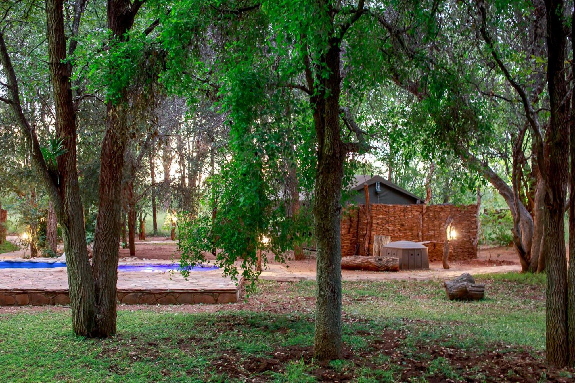 Sable Creek Safari Lodge 桑尼 外观 照片